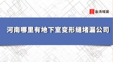 河南哪里有地下室變形縫堵漏公司