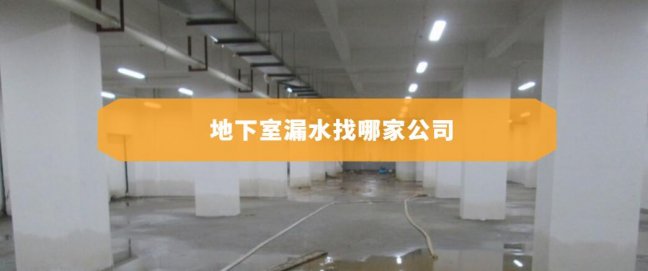 地下室漏水堵漏公司(地下室漏水找哪家公司)