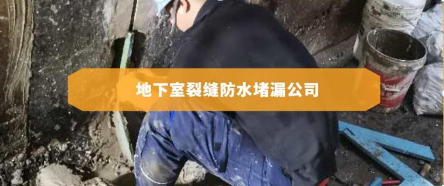 地下室裂縫防水堵漏公司(維修地下室裂縫漏水的公司)